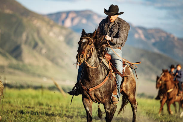 istock Determined cowboy riding horse 1205371668