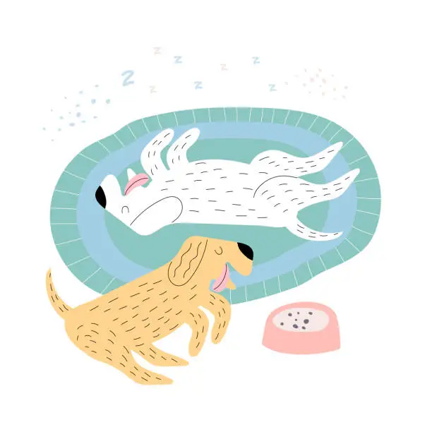 Vector illustration of dogs sleeping on a rug vector illustration