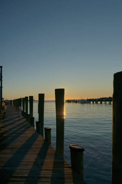istock Marina Pilings and Pier at Sunrise - Vertical 1205373665