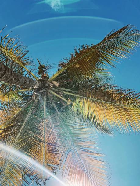 istock San Juan, Puerto Rico. ✨ 1205374586