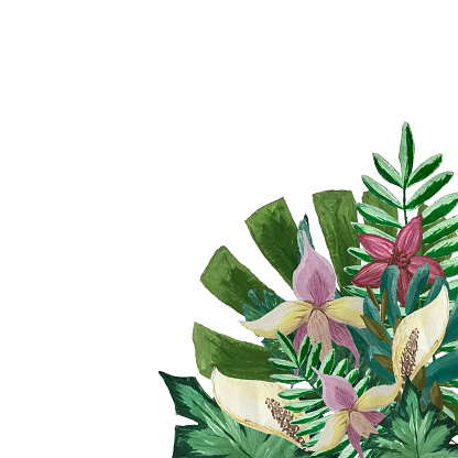 Seamless tropical flower frame. Botanical hand-drawn watercolor illustration. Design for packaging, weddings, fabrics, textiles, Wallpaper, website, postcards.