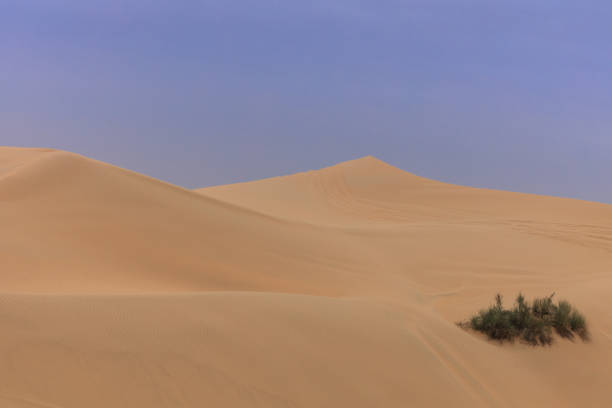 sand dunes in Abu Dhabi desert. United Arab Emirates