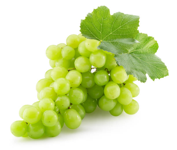 istock green grapes with leaves isolated on a white background 1205379312