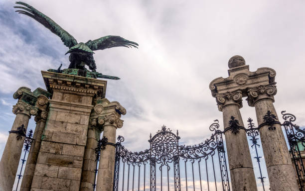 majestuosa escultura de águila en una colina de buda en budapest. símbolo de la realeza - street royal palace of buda budapest hungary fotografías e imágenes de stock