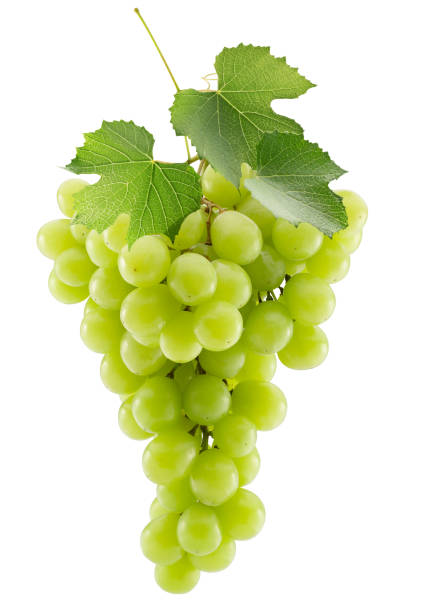 istock green grapes isolated on a white background 1205379450