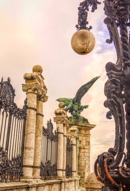 majestuosa escultura de águila en una colina de buda en budapest. símbolo de la realeza - street royal palace of buda budapest hungary fotografías e imágenes de stock