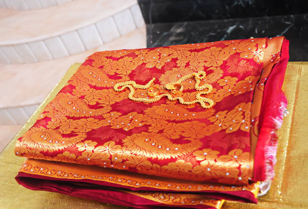 Wedding Sari And Wedding Necklace