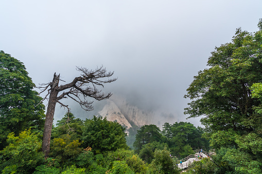 Huashan, China -  August 2019 : Covered in fog, mist and low clouds, mountain trail path leading to the summit of a South Peak on Huashan mountain, Shaanxi Province