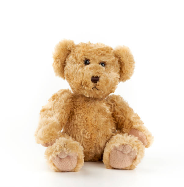 istock cute light brown fluffy teddy bear sitting on a white isolated background 1205386474