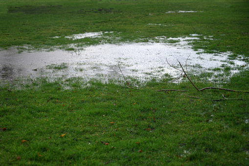 Waterlogged lawn with standing water in a large puddle and fallen branches after a heavy rain, copy space, selected focus
