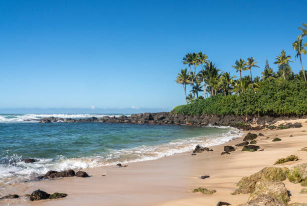 istock Sandy beach with regular turtle visits at Laniakea on north shore of Oahu 1205388958