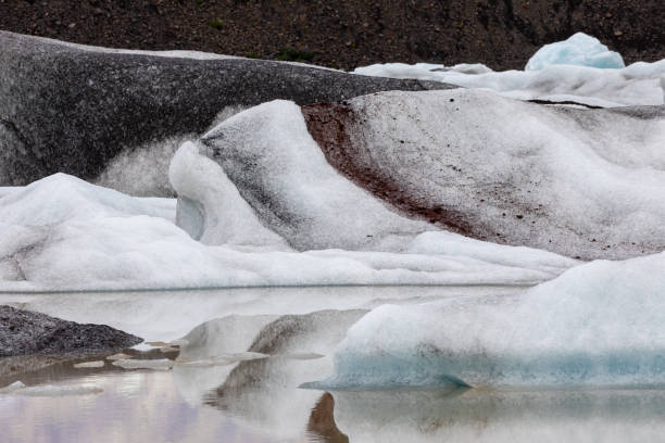 istock Svinafell Glacier, Iceland 1205391935