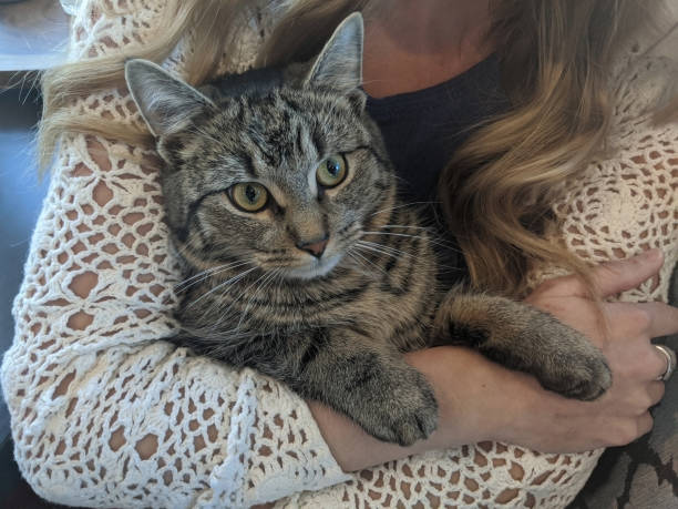 istock Young Woman Cuddling Pet Tabby Cat 1205392017
