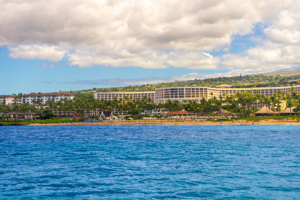 vista para o oceano do grand wailea maui, a waldorf astoria resort em maui - building exterior hawaii islands palm tree beach - fotografias e filmes do acervo