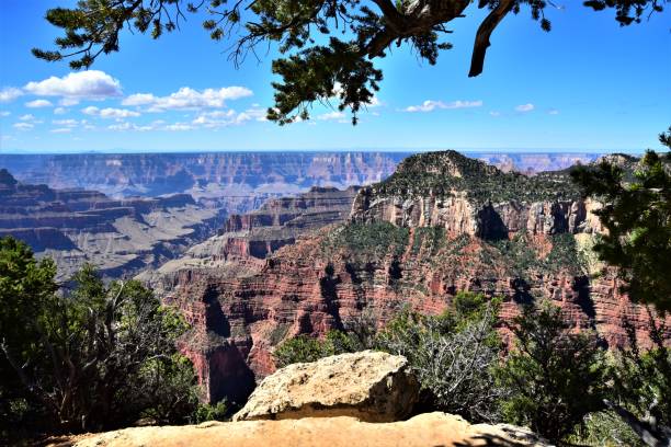 istock Grand Canyon, North Rim 1205401551