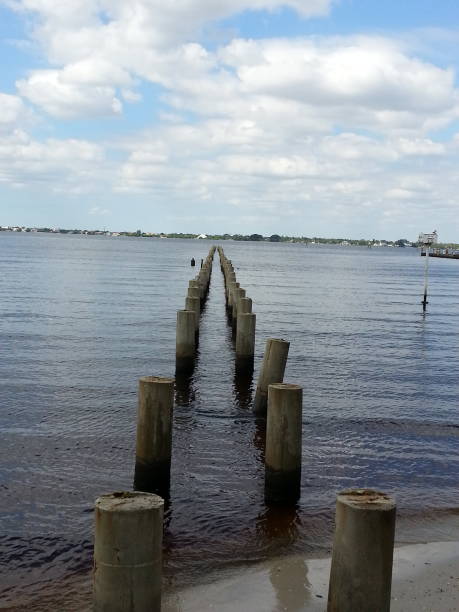 istock Water images from Edison Ford Winter Estates 1205401838