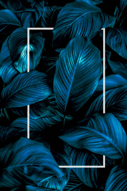 istock tropical leaves, abstract green leaves texture, nature background 1205404306