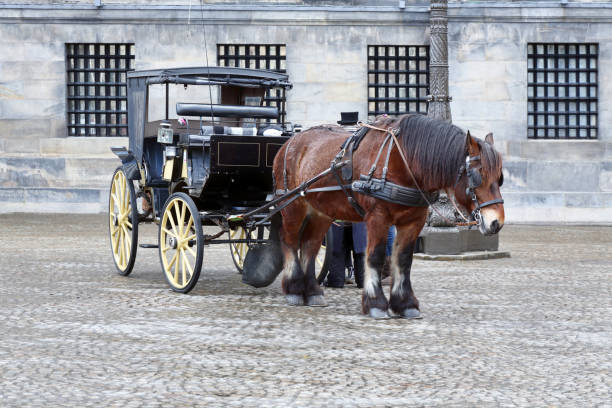 istock Horse carriage in Amsterdam 1205405106