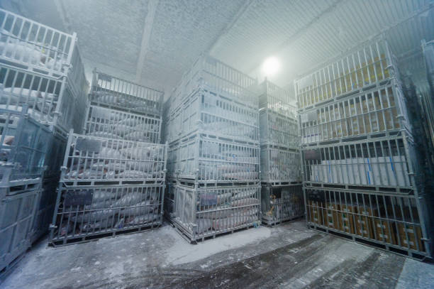 Freezing storage of tuna