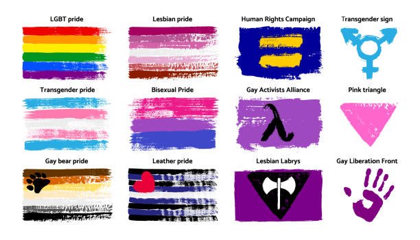 ilustrações de stock, clip art, desenhos animados e ícones de grunge lgbt pride flag and symbols collection lesbian, gay, bisexual, transgender, gay bear . vector - bi sexual illustrations
