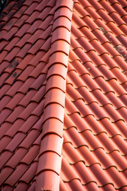istock Orange clay tiles on top of a roof 1205422012