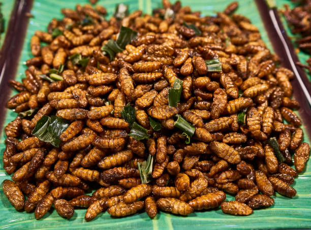 Exotic food offered on a night market in Bangkok, Thailand Fresh fried silkworms offered on a night market in Bangkok, Thailand. fried insects for snack thai food at market stock pictures, royalty-free photos & images