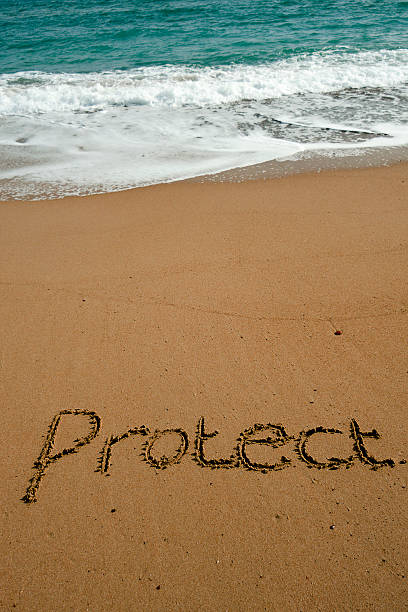 istock Protect The Ocean Portrait 120542820