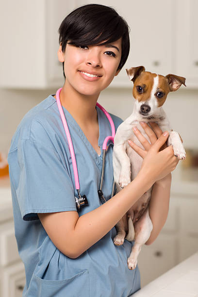 istock A smiling veterinarian with a cute puppy 120543057
