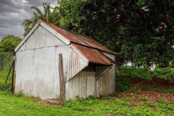 Colonial Australian Architecture Old corrugated iron shed with push out windows in a lush green garden shed old leaning shack stock pictures, royalty-free photos & images