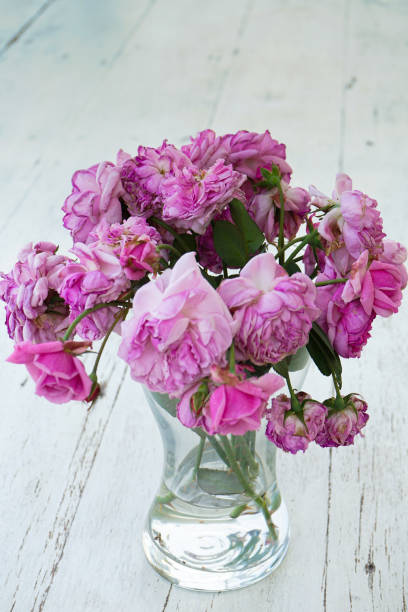 istock withered purple flower in clear vase on white wooden table 1205436901