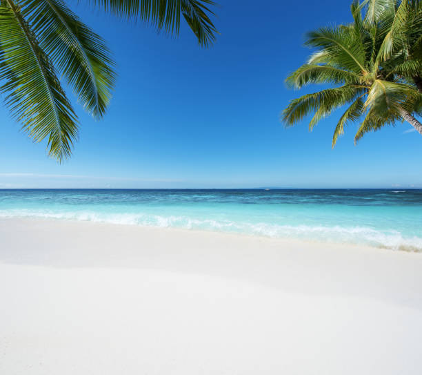 istock Exotic tropical beach scene for background or wallpaper 1205441977