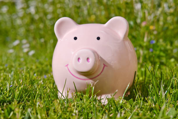 istock Piggy bank surrounded by green meadow 1205443260