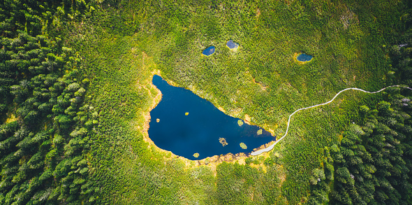 Aerial view on mountain lake (Lake Ribnisko jezero, Slovenia).