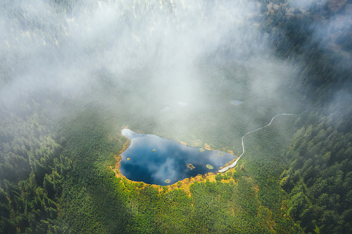 Aerial view on picturesque mountain lake (Lake Ribnisko jezero, Slovenia). View through the fog.