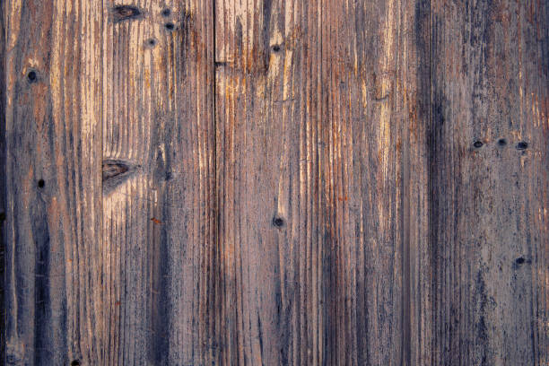 istock Grunge old brown wood door textured background 1205444837
