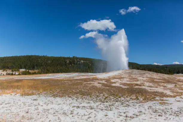 Photo of Old Faithful Geyser at Yellowstone National park