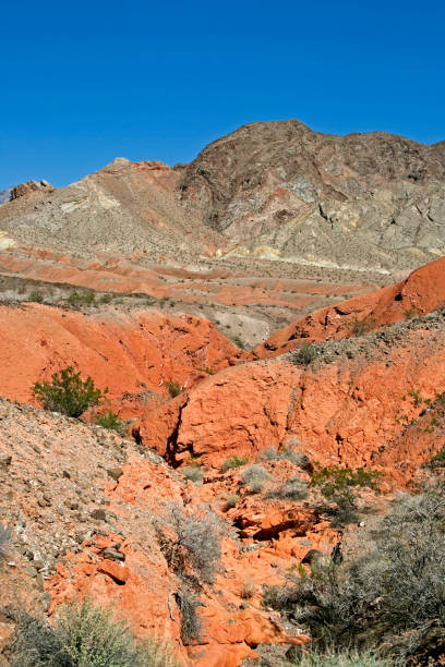 istock Along Road 167N, Utah, USA 1205449178