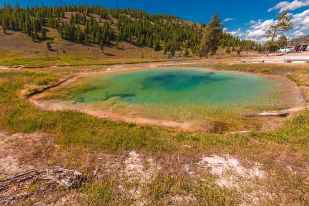 parque nacional yellowstone wyoming - upper geyser basin fumarole scenics standing water - fotografias e filmes do acervo