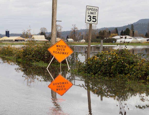 istock Water over roadway sign 1205450835