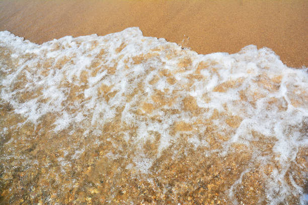 istock Close-up on sea wave with beach sand textured background 1205450959