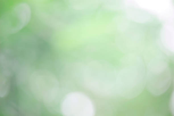 istock Bokeh green nature, Subtle background in abstract style 1205453825