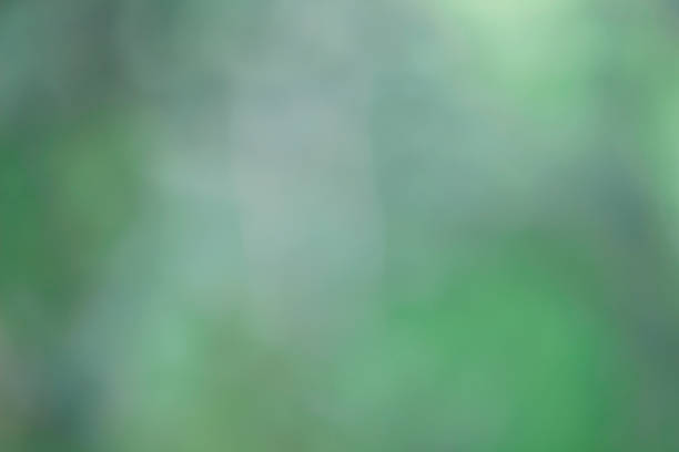 istock Bokeh green nature, Subtle background in abstract style 1205453883