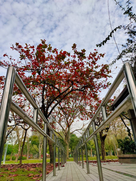 istock Railing of rehabilitation in the park. 1205454294