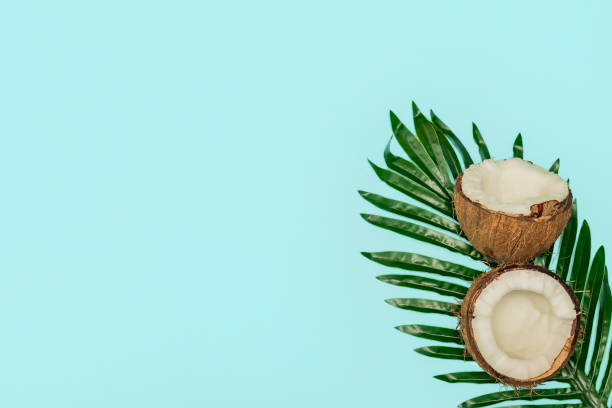 istock Halves of fresh raw coconut  on blue backgound. 1205456949