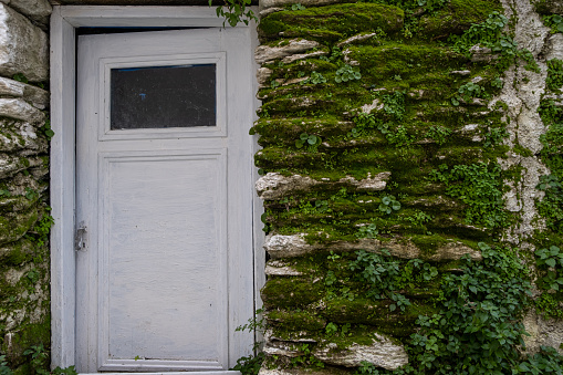 White wooden half opened door of an old stone building. Green moss and  plants cover the rural stone construction. Evergreen wild plants need moist environment