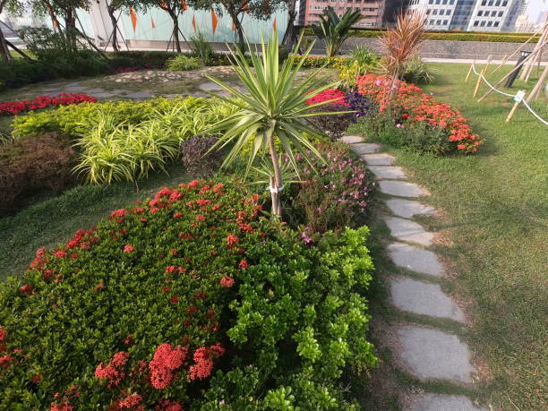 istock the garden on the library in Kaohsiung, Taiwan 1205460937