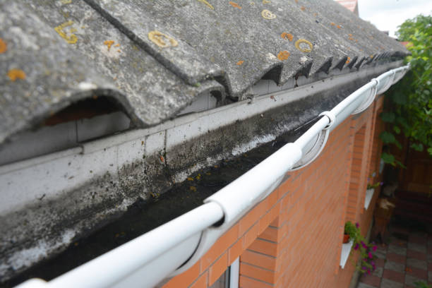 istock Dirt in roof gutter. Asbestos roof with rain gutter. Gutter cleaning. 1205461098