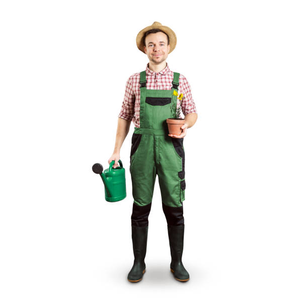 istock Happy gardener with a watering can and flower pot 1205461221