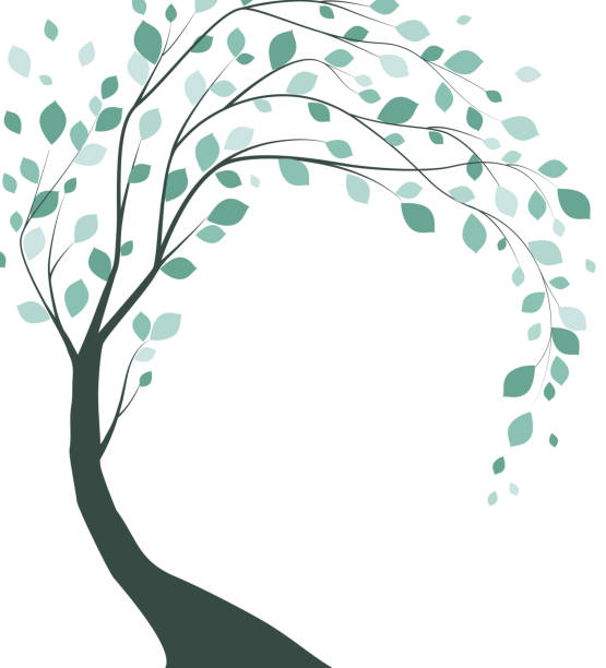 Trees with leaves Vector illustration of a tree with leaves on a white background tree of life stock illustrations