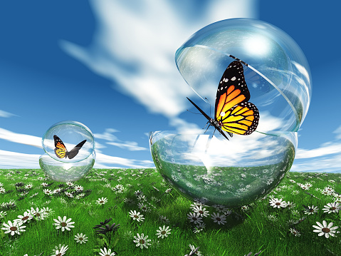 butterfly  in a bubble in the meadow